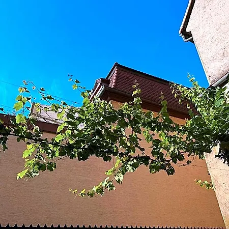Und Restaurant Neuhauser Volkach